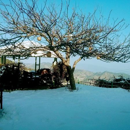The Swiss Village Resort Nainital Eksteriør billede