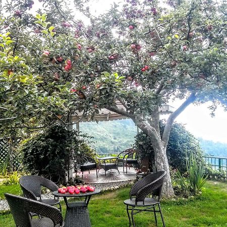 The Swiss Village Resort Nainital Eksteriør billede