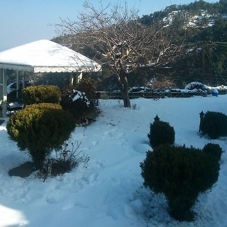 The Swiss Village Resort Nainital Eksteriør billede