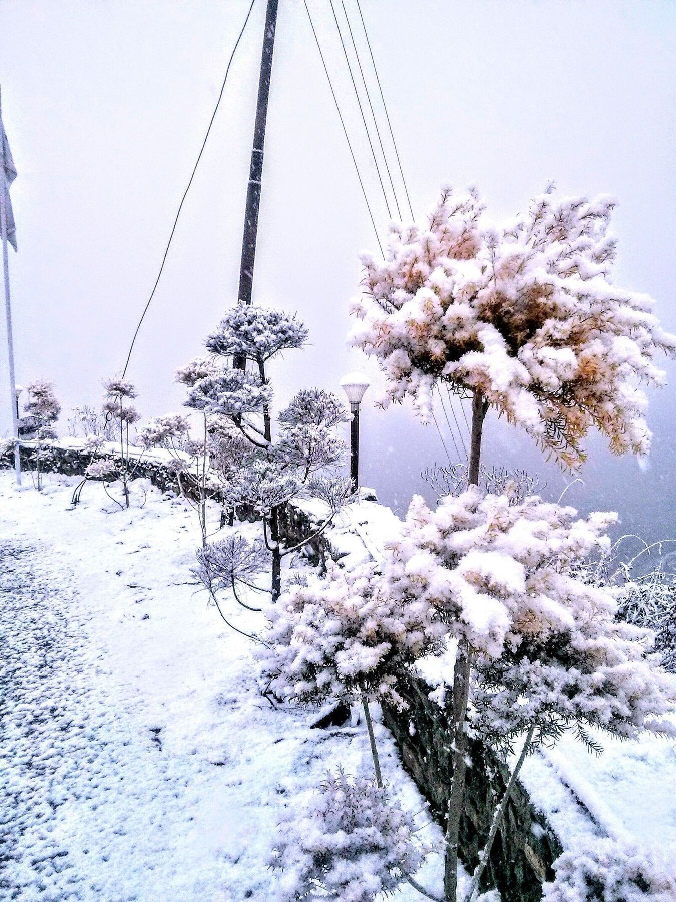 The Swiss Village Resort Nainital Eksteriør billede